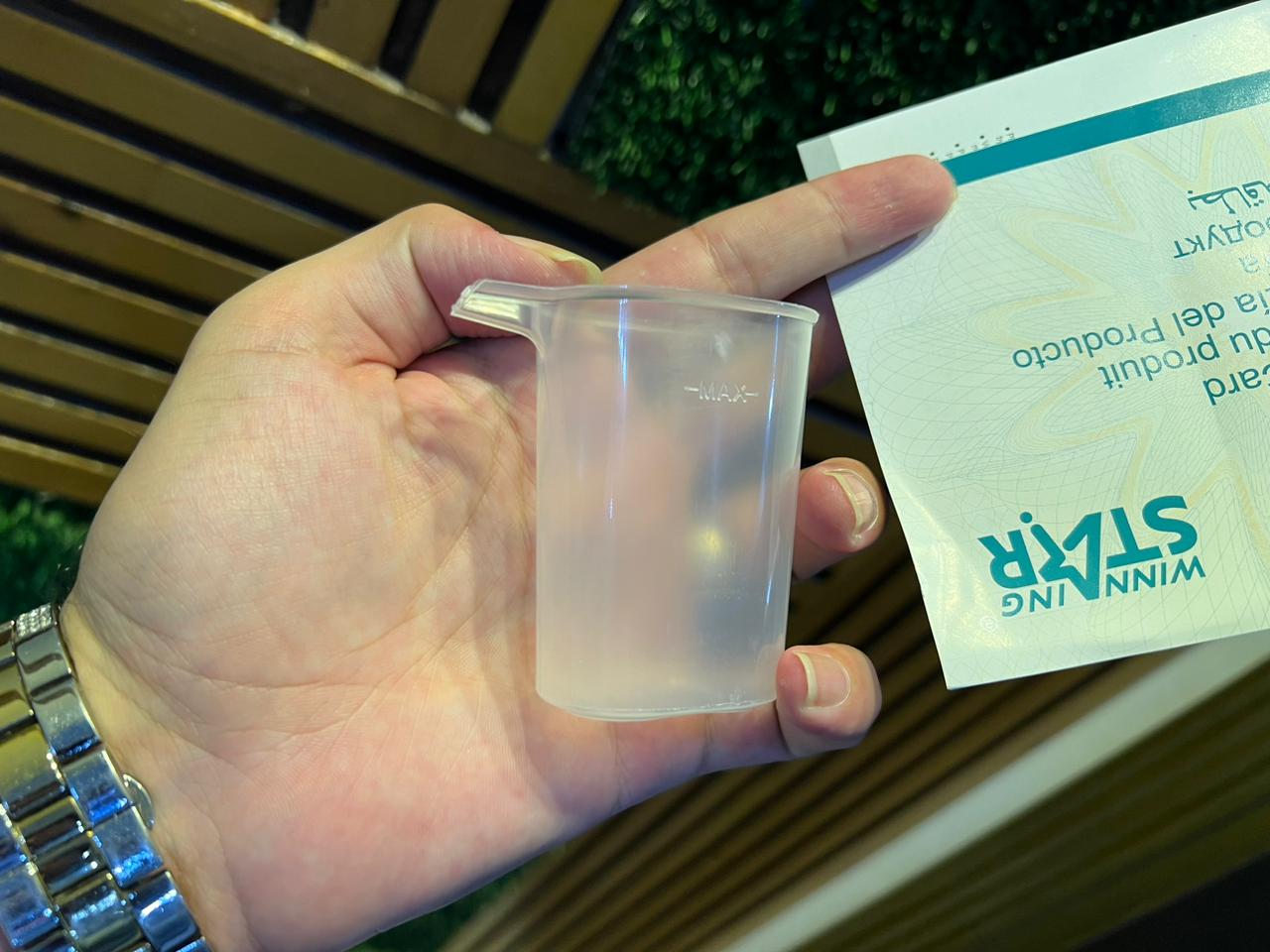 Winning Star Steam Iron--with 3 year Warranty